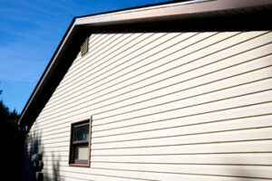 Vinyl Siding